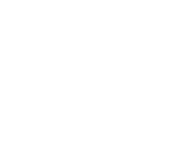 Bimbo